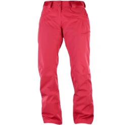 Salomon Fantasy Snowboardhose Hibiscus Heather Damen