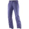 Salomon Stormspotter Skihose Daybreak Grey Damen