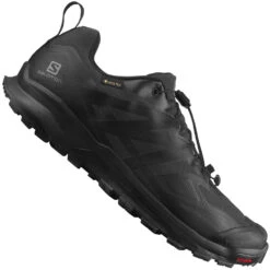 Salomon XA ROGG 2 GTX Laufschuhe Black/Black/Black Herren